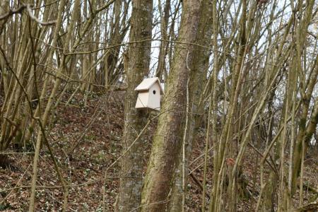 Gnezdilnice Radulja 10